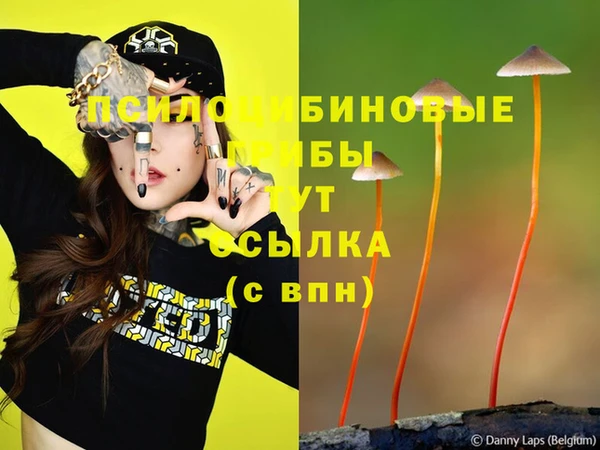 экстази Покачи