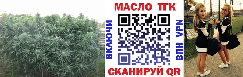 ТГК концентрат  купить наркотик  Никольск 