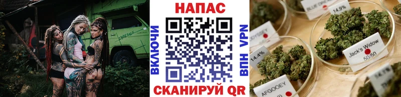 МАРИХУАНА гибрид  купить наркотик  Никольск 